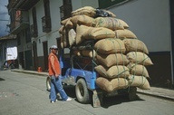 コロンビアコーヒー　7月の生産量