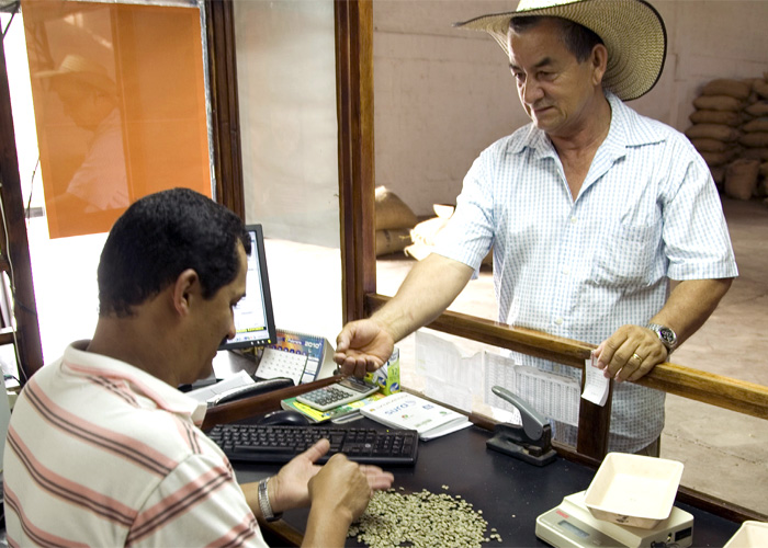 コロンビアコーヒーの全量買取保証制度