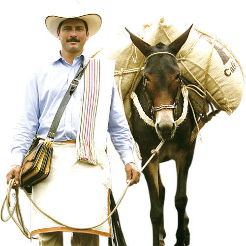 コロンビアコーヒー生産者の代表　フアン・バルデス