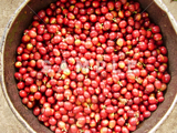 収穫されたコーヒーの赤い実(1)